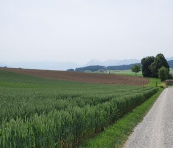 Wandern_Zimmerwald